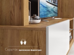 Гостиная Флекс в Верхнем Тагиле - verhnij-tagil.magazinmebel.ru | фото - изображение 4