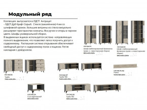 Гостиная Отис Дуб Крафт Серый/Антрацит в Верхнем Тагиле - verhnij-tagil.magazinmebel.ru | фото - изображение 5