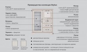 Прихожая модульная Стилиус в Верхнем Тагиле - verhnij-tagil.magazinmebel.ru | фото - изображение 2